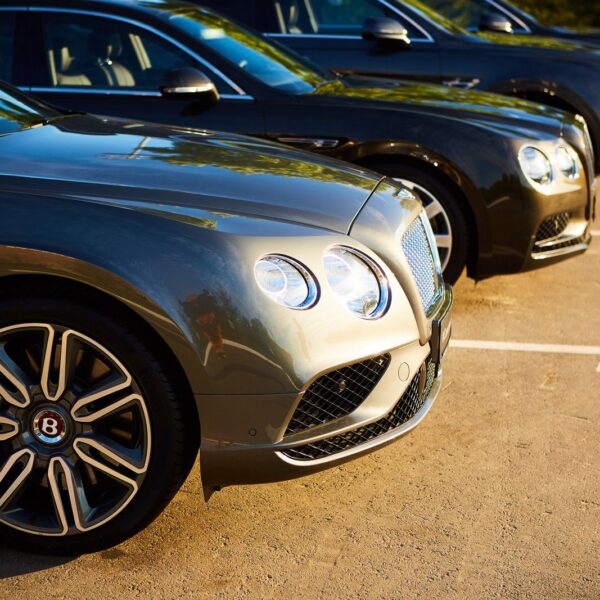 Zielone tablice rejestracyjne: Co oznaczają i jakie uprawnienia daje ich posiadanie?