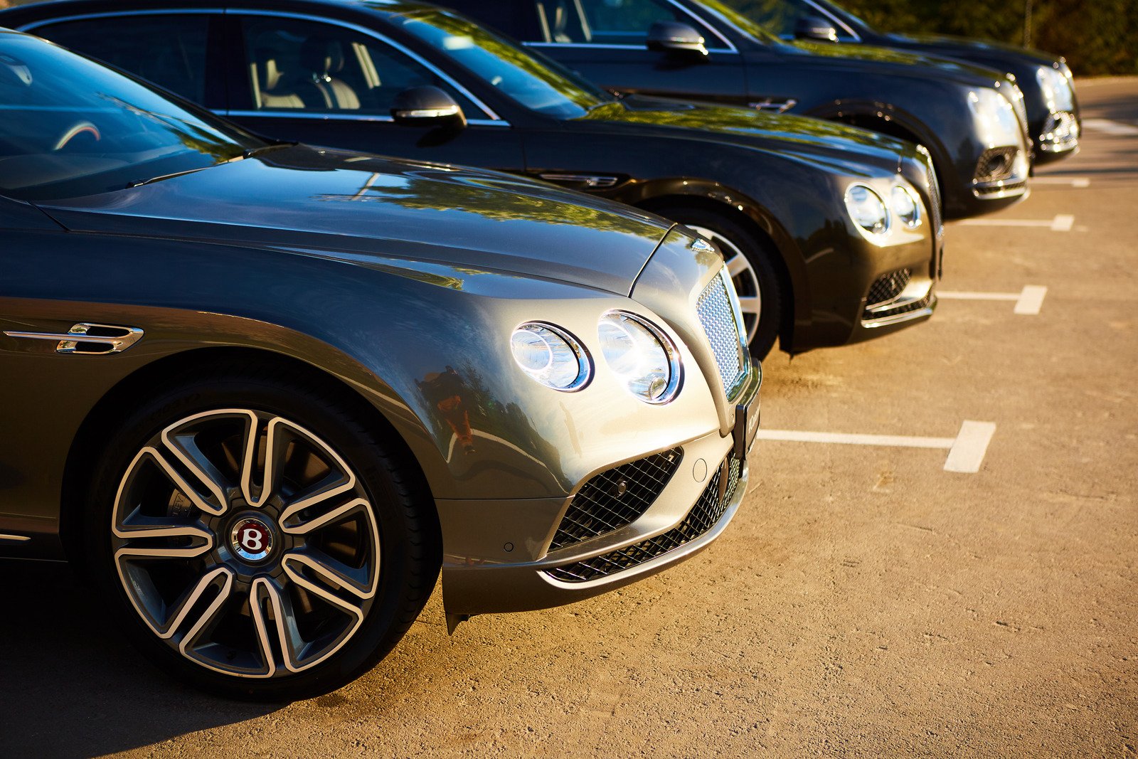 Zielone tablice rejestracyjne: Co oznaczają i jakie uprawnienia daje ich posiadanie?